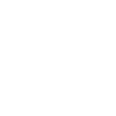 camion