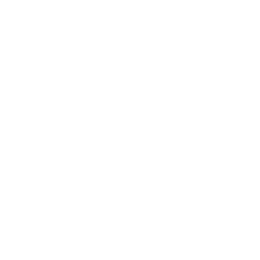 transpalettte.2png